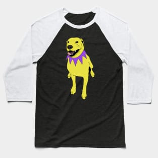 Grateful Dawg Yellow Baseball T-Shirt